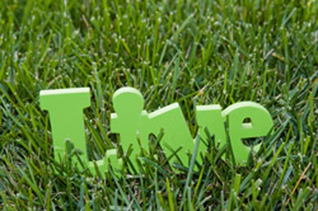 LivingGreenManchesterWeb250Pix.jpg